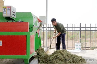 五团沙河镇 发展畜牧养殖业 绘就增收新画卷