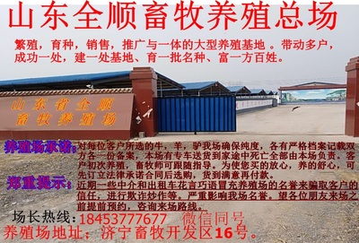 堆龙德庆县优质波尔山羊成年种羊及畜牧渔业饲料销售服务