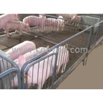 2019年畜牧业养殖产业链 厂商、批发、报价与饲料销售全景洞察