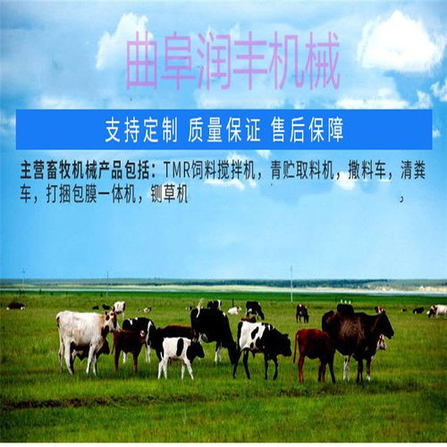 智能养殖新篇章 自动喂料车如何革新畜牧饲料管理