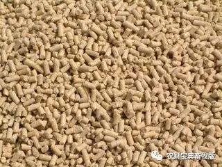 讨要饲料款遇“神逆转”，养殖户反诉饲料致生猪死亡